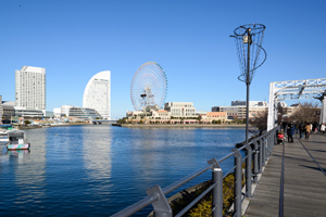 横浜市の倒壊リスクマンション 85%が耐震工事せず